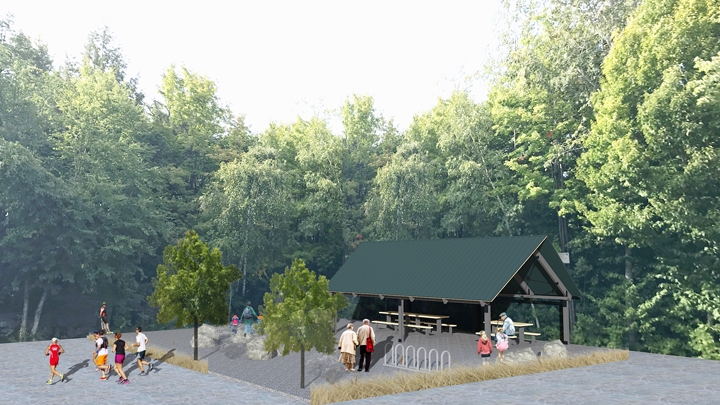 Espace forestier au parc de l'Ile-Melville