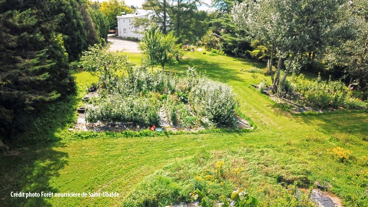 Forêt nourricière au parc Trois-L