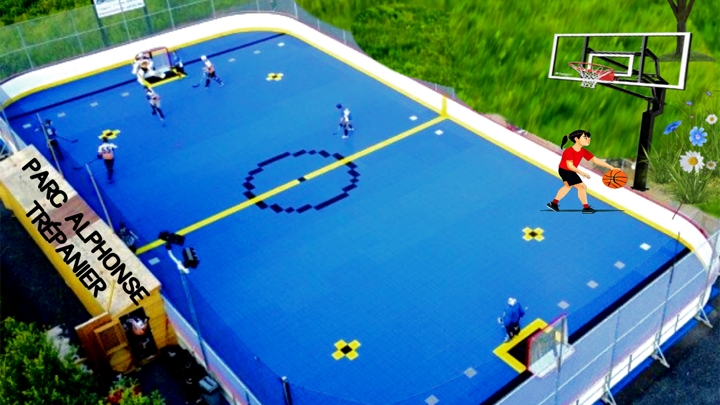 Parc Alphonse-Trépanier : Surface de dek hockey/basketball